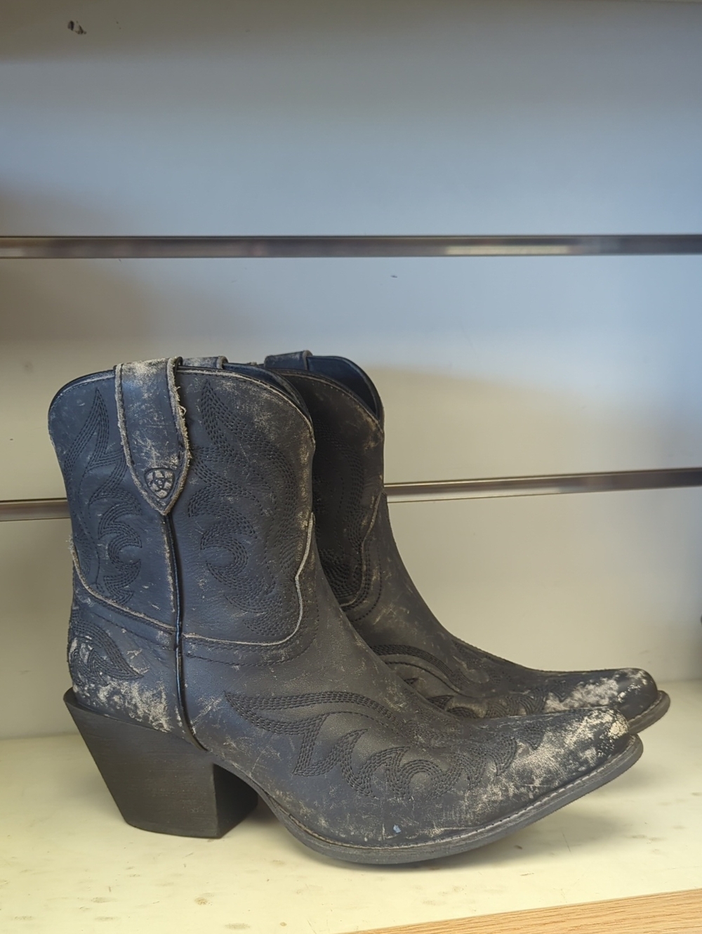New Women's Ariat Chandler 10051169